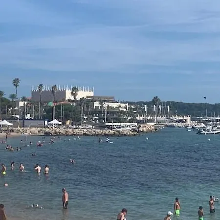 Palm T2 Standing Wi Fi Climatisation