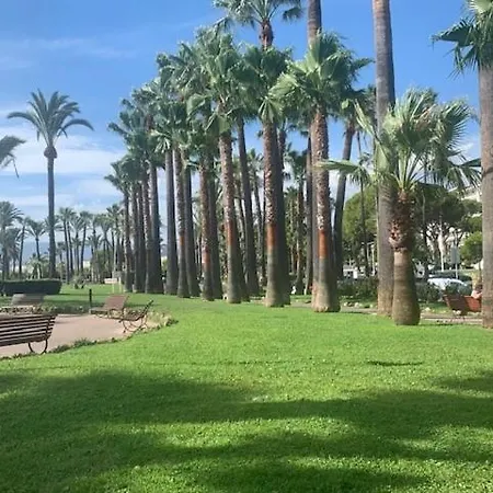 Palm T2 Standing Wi Fi Climatisation Appartement *